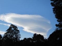 Lenticular Clouds over Mauna Kea from my backyard