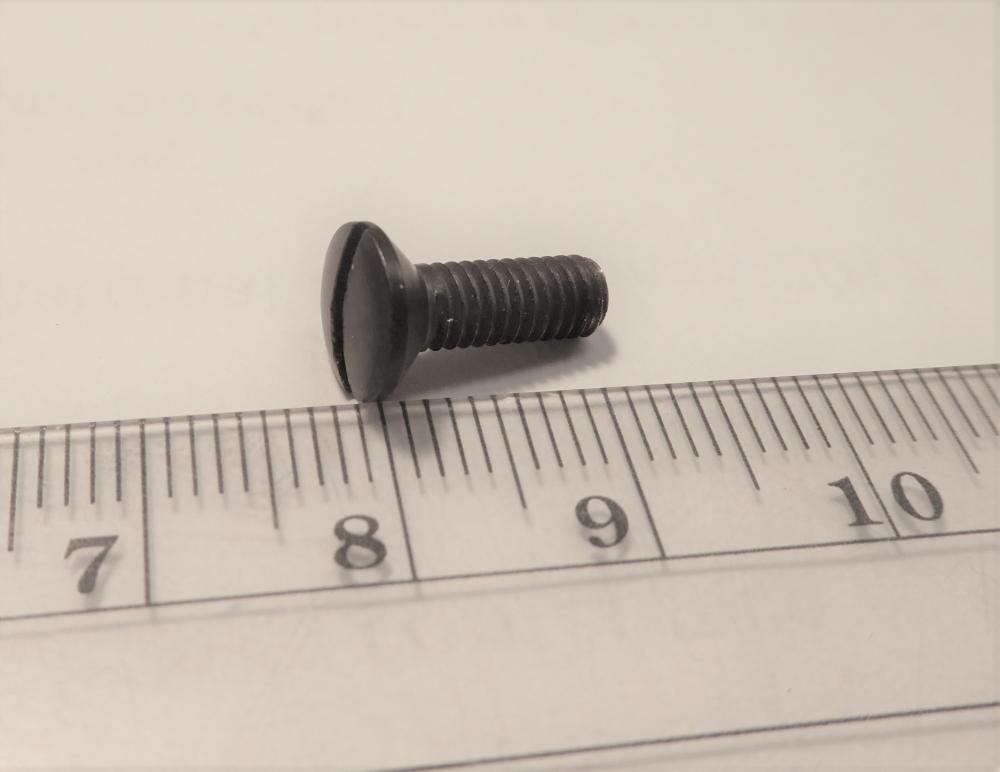 10 mm long 4mm thread screw.jpg